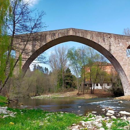 Can Planas Soleado, Amplio Con Vistas Y Parking Сан-Жоан-де-лес-Абадессес Экстерьер фото