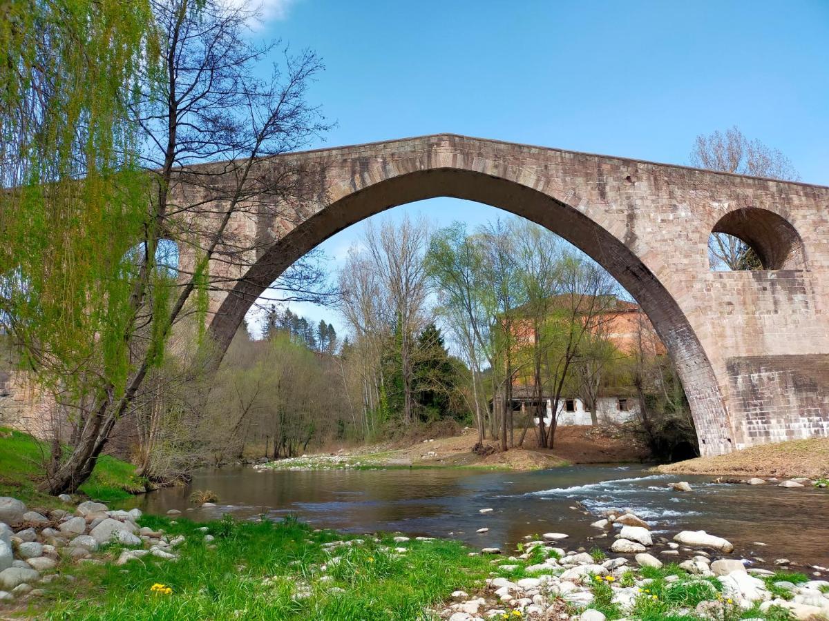 Can Planas Soleado, Amplio Con Vistas Y Parking Сан-Жоан-де-лес-Абадессес Экстерьер фото